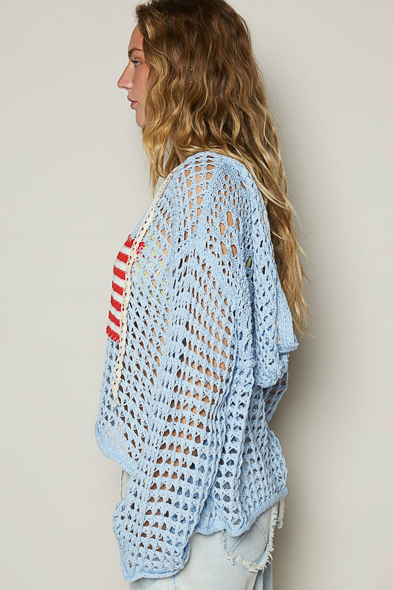 Sky Blue Flag Sweater with Hood